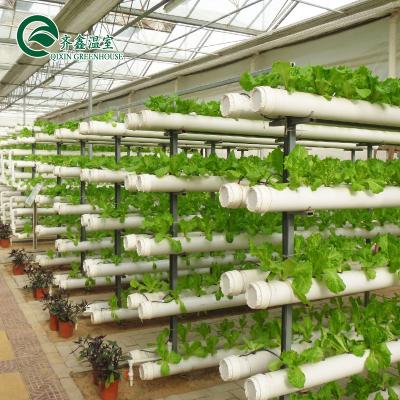 China Large Tomatoes Vegetable Vertical Hydroponic System Flowers Glass Greenhouses Agriculture for sale