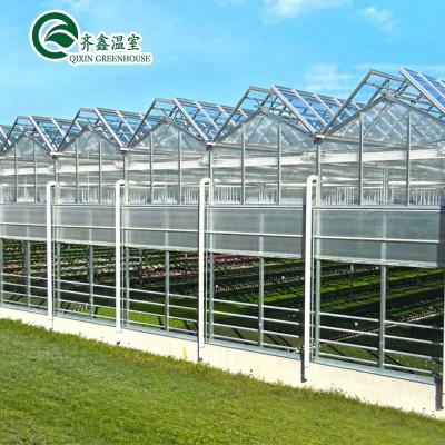 China Vegetable Flowers Flowers Tomatoes Low Cost Low Cost Fiberglass Panel Greenhouse Saudi Arabia Agricultural Sales for sale