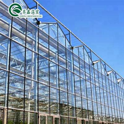 China Multi-span Vegetable Glass Greenhouse Tower Garden Tomatoes Flowers Fruits Hydroponic Growing Systems for sale