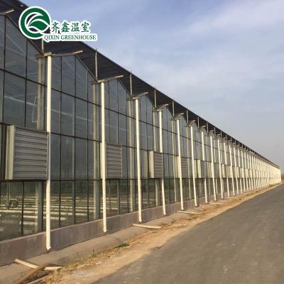 China Glass Hydroponics Grow Systems Greenhouse for sale