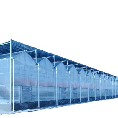 China Economic Best Selling New 100% Polythene Material Tunnel Greenhouse Film, Plastic UV Protection Greenhouse Film For Growing Vegetables for sale