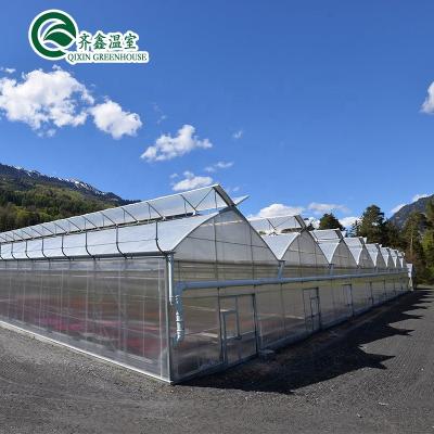 China Fruits Flowers Tomatoes Beach House Tent PC Sheet Vegetable Greenhouse For Thailand for sale