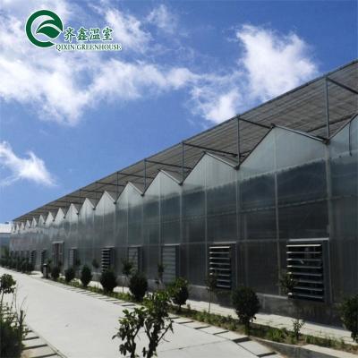 China Flowers Vegetable Tomatoes Fruits System Galvanized Steel Pipe PC Hydroponic Growing Greenhouse for sale