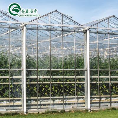 China Fruit Flower Tomato Vegetable Aquaponic Galvanized Steel Pipe For PcTent Prefab Greenhouse for sale