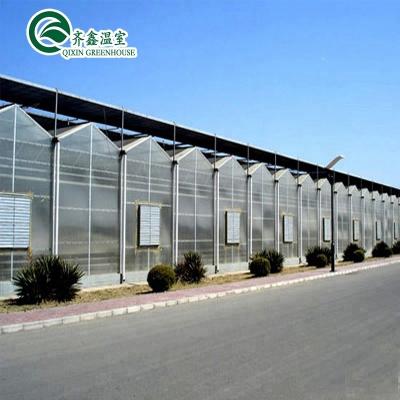 China Economic Used Hydroponic Growing Systems PC Sheet Saudi Arabia Greenhouse for sale