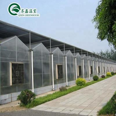 China Economical hidroponic supplies green houses for sale