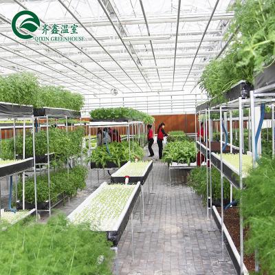 China Vegetable Fruit Flowers Tomatoes Used Hydroponic Galvanized Steel Pipe For Film Greenhouses for sale