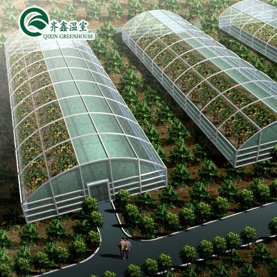 China Customized cheaper single-span film greenhouse for vegetables for sale