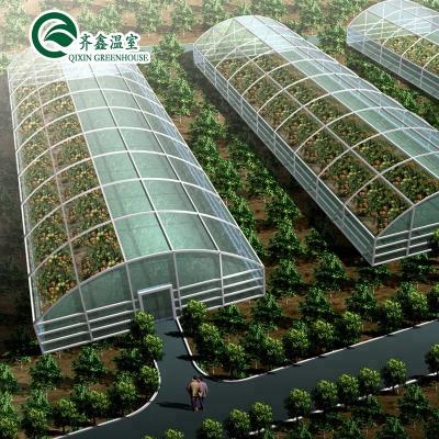 China Single Span Aquaponics Single System Tunnel Green House for sale