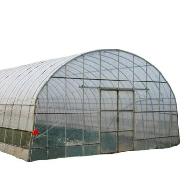 China Single Span Single Span Hydroponics Nutrient Solution Tunnel Greenhouse for sale