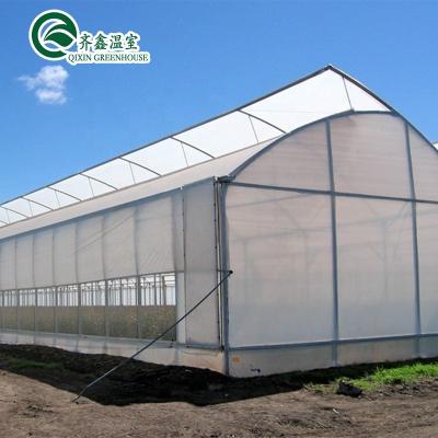 China Vegetable Fruits Flowers Tomatoes Arch Pipes Poly Tunnels Greenhouse Plastic Film Agriculture for sale