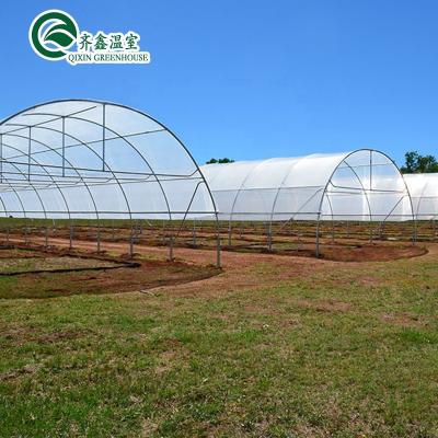 China Vegetable Fruits Flowers Single-span Greenhouses for sale