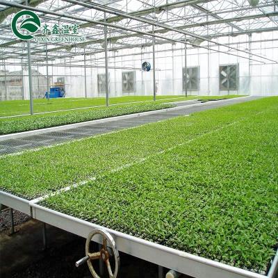 China Customized Sale Hot Seedling For Greenhouse Irrigation for sale