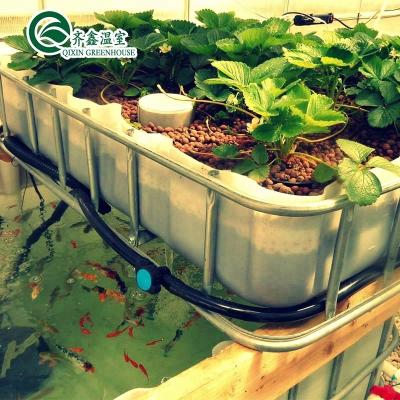 China Vegetable Fruit Flowers Tomatoes Low Cost Aquaponics Grow Tent Plastic Sheet Greenhouse for sale