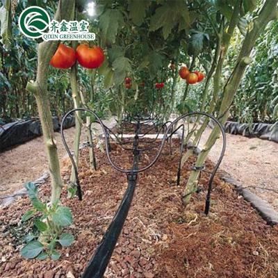 China Customized Greenhouse Agricultural Equipment For Sale for sale