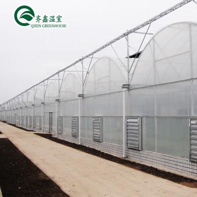 China Plastic Flowers Vegetable Tomatoes Fruit Lettuce PVC Greenhouse Hydroponic Roofing On Sale for sale