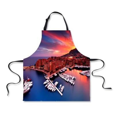 China Eco-friendly Waterproof Apron RTS Chef Cooking Aprons For Restaurants Kitchen Apron for sale