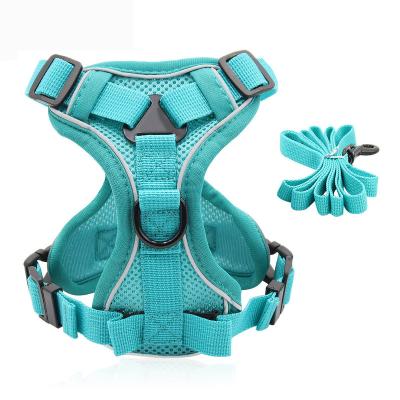 China Sustainable Adjustable Custom Design Bow Thoughtful Logo Dog Harness And Lead Set for sale