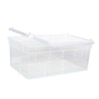 China Good Quality Viable Wholesale Plastic Reptile Reptile Feeding Box Good Quality for sale