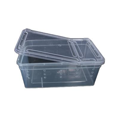 China Durable Easy Opening Double Loop Ventilation Reptile Pet Lifting Box for sale