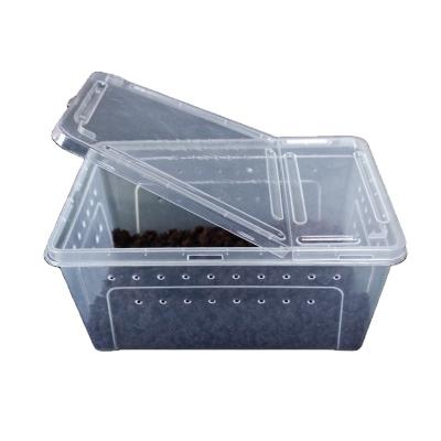 China Durable Easy Opening Double Loop Ventilation Reptile Pet Lifting Medium Feeding Box for sale