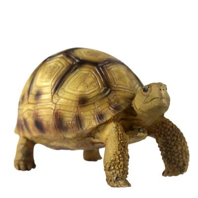 China NOMOY PET hemanns tortoise viable resin model for decoration A5 for sale