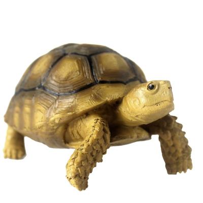 China NOMOY PET sulcata tortoise viable resin model for decoration A6 for sale