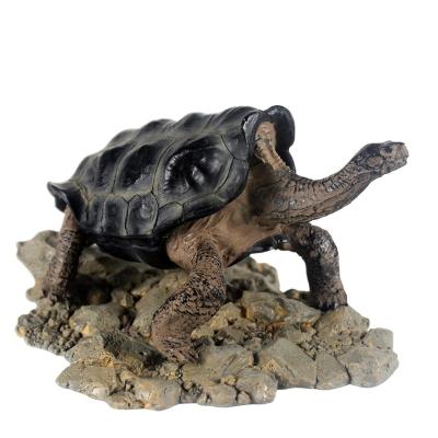 China NOMOY PET galapacos tortoise viable resin model for decoration A8 for sale