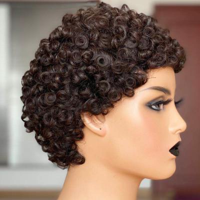 China Populr New Ideas Low Moq Can Be Hot Hair Dye Short Curly Wig for sale