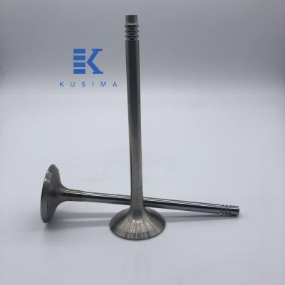 China Engine Parts China Factory Auto Parts Intake Exhaust Valve Forged Engine Valve For BMW B48 for sale