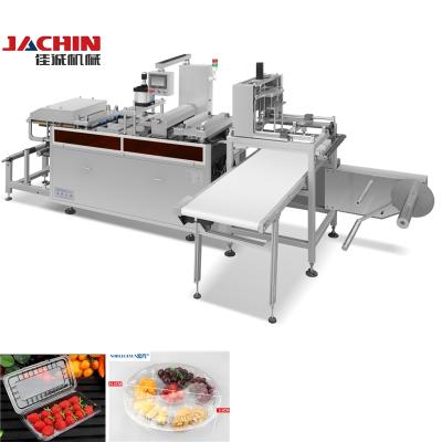 중국 Factory Disposable Plastic Take Away Food Container Making Machine 판매용