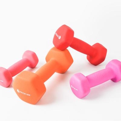 China Universal Factory Wholesale Gym And Men Home Ladies Color Hex Eco-friendly Rubber Dumbbells for sale