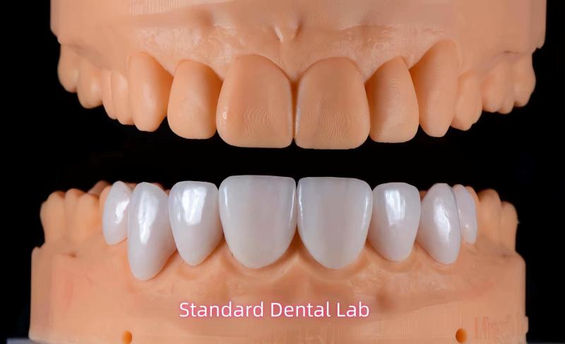 Geverifieerde leverancier in China: - Standard Dental Lab Co., Limited