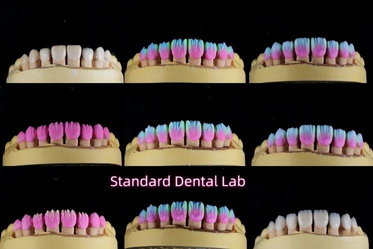 Verified China supplier - Standard Dental Lab Co., Limited