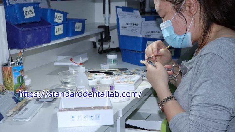 Fornecedor verificado da China - Standard Dental Lab Co., Limited