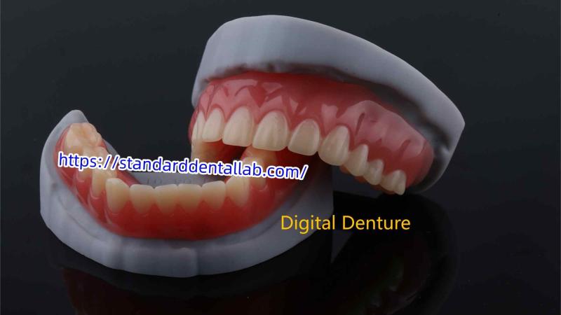 Проверенный китайский поставщик - Standard Dental Lab Co., Limited