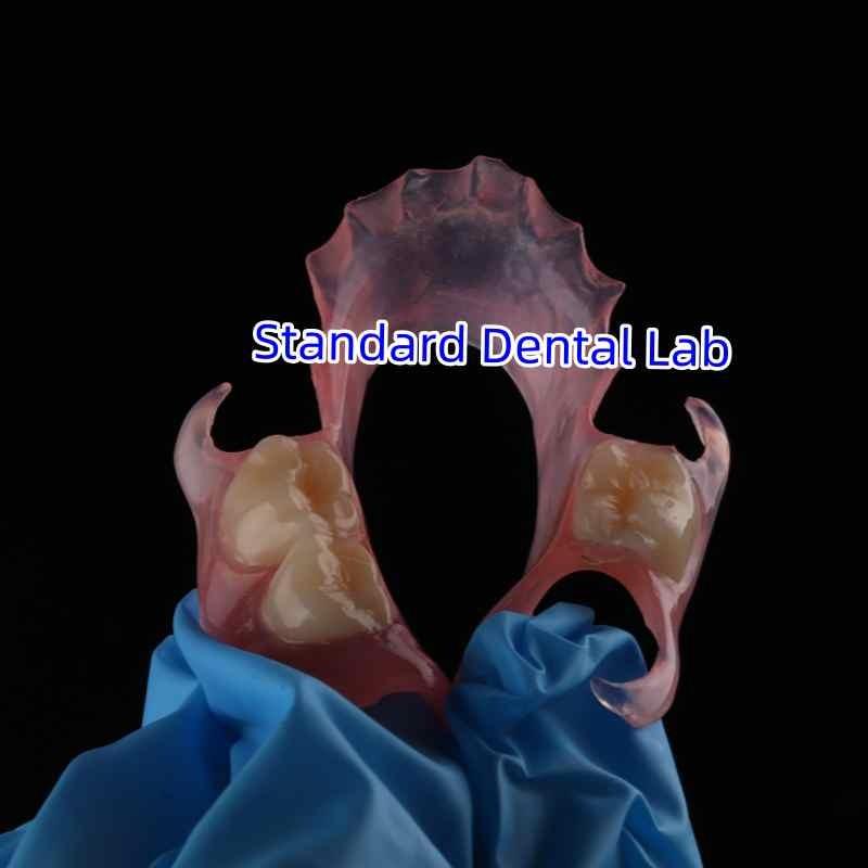 Проверенный китайский поставщик - Standard Dental Lab Co., Limited