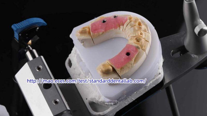 Fornecedor verificado da China - Standard Dental Lab Co., Limited