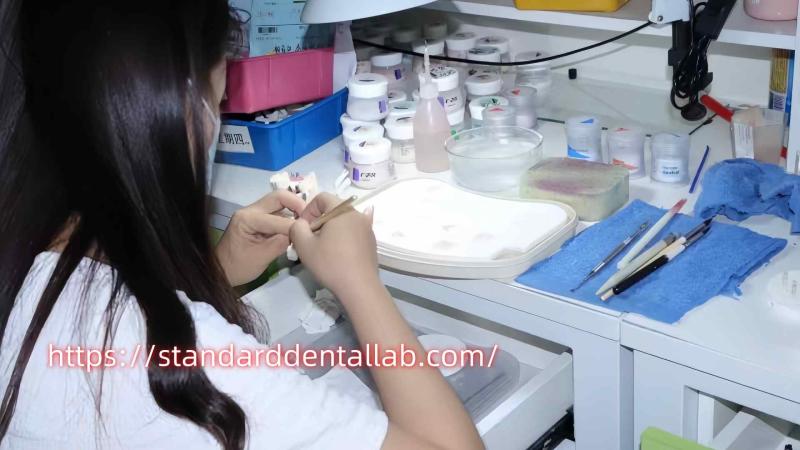 Проверенный китайский поставщик - Standard Dental Lab Co., Limited