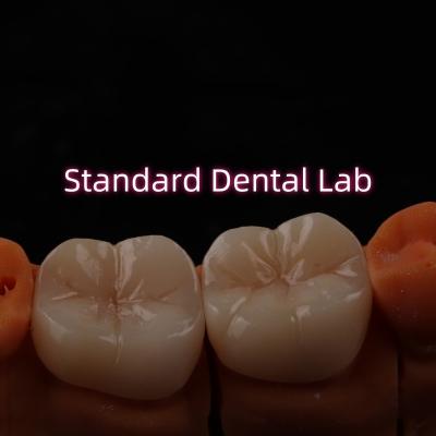 China Full Contour Bruxier Monolithic Zirconia Crown Bridge Dental Lab for sale