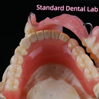 China Removable Dental Restorations Acrylic Partial Denture Teeth With Wire Clasps for sale