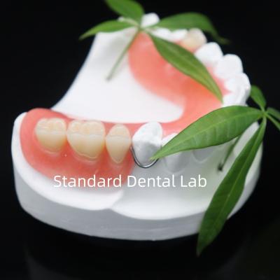 China High Esthetics Dentsply Lucitone 199 Acrylic Denture acrylic resin for dentures China Dental lab for sale