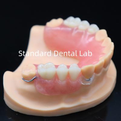 China High Esthetics Acrylic Partial Denture With Clear Clasp And Acrylic Teeth China Dental Lab for sale