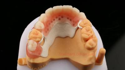 China Peek Partial Framework Design ISO CE And FDA Dental Lab Acrylic Partial Denture Framework for sale