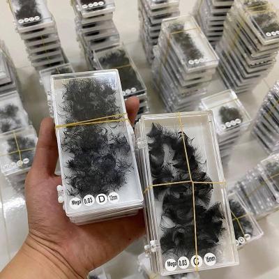 China Long Natural Hot Sale Loose Volume Pre Fanned 3D 4D 5D 6D 7D 8D 9D 10D 12D 14D Russian Volume 0.05 0.07 Eyelash Extensions for sale