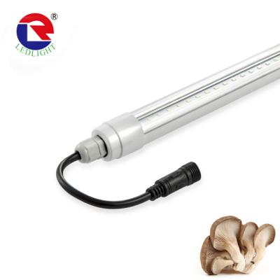 China Mushrooms And Other Plants Scatter To Grow Lamp Innovative Full / Customized Lamp CE Standard IP65 Spectrum 1200mm 36w /18w for sale