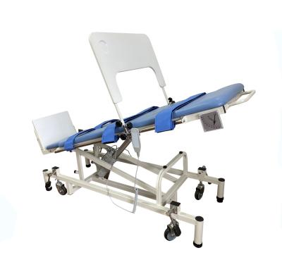 China electric tilt electric bed for handicapped for sale