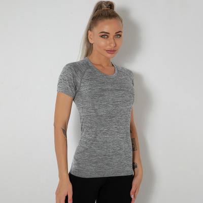 China 2022 Breathable Activewear Seamless T-shirt Gym Fitness Running Sports Shirts For Women for sale