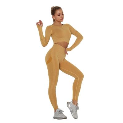 China Seamless Winter 2 Piece Gym Outfits Workout Clothes For Women Activewear Active Wear Yoga Set Long Sleeve Crop Top & Gaiters Set YS359 for sale