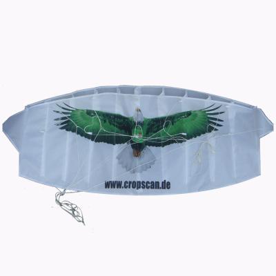 China Weifang custom logo big gift reputation dragon training kites for sale for sale